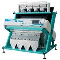 TAIHO, �������,  Bulgaria, �����������, �������, ��������������, X-rei